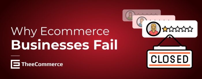 Why eCommerce Businesses Fail?